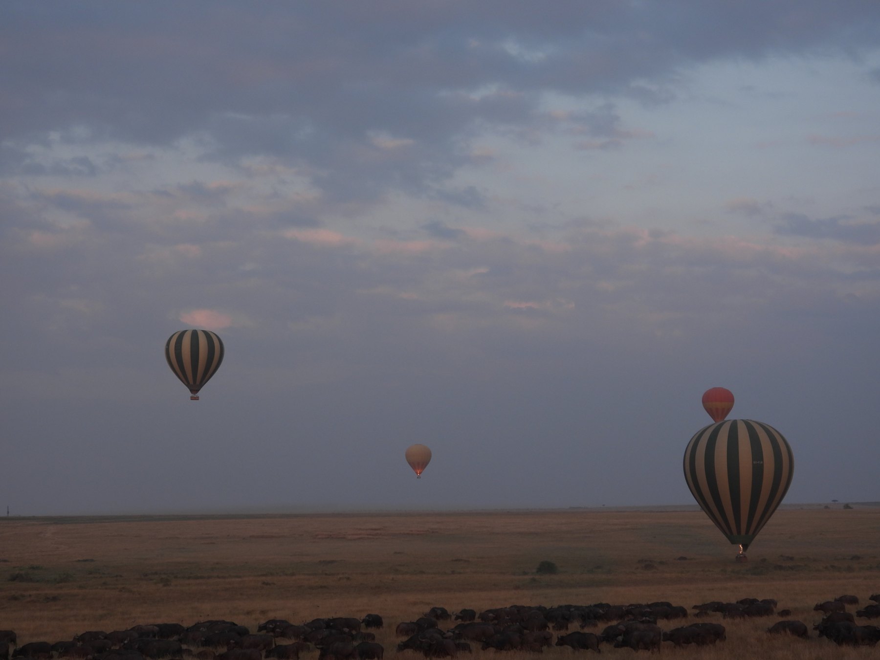 Drifting over the migration