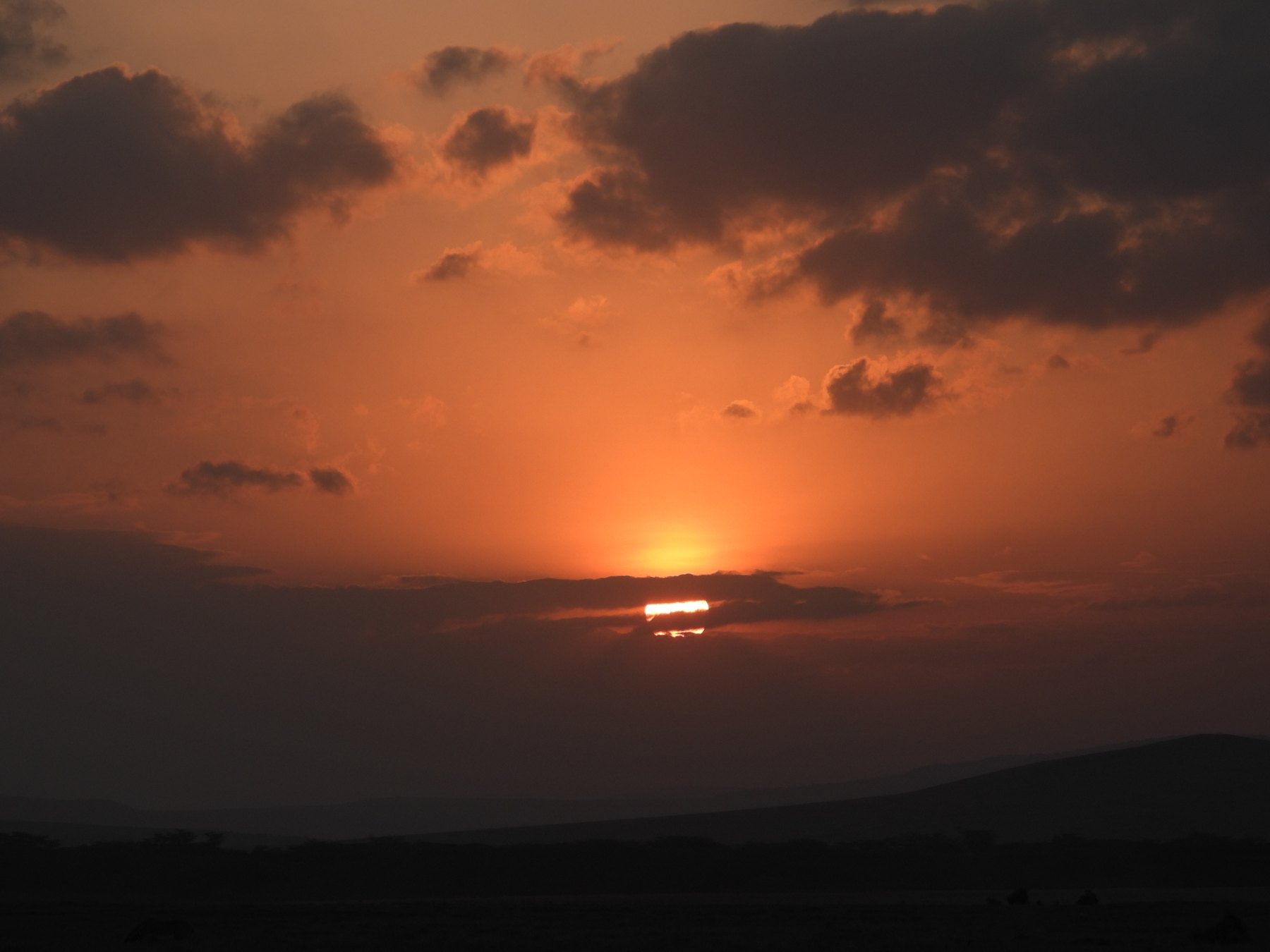 Fire in the sky