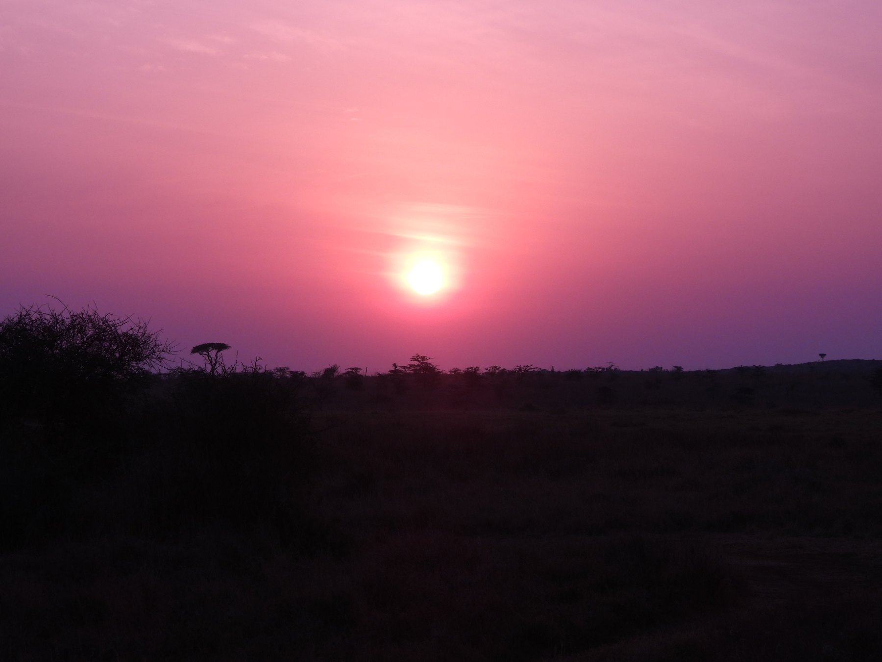 Magenta hour