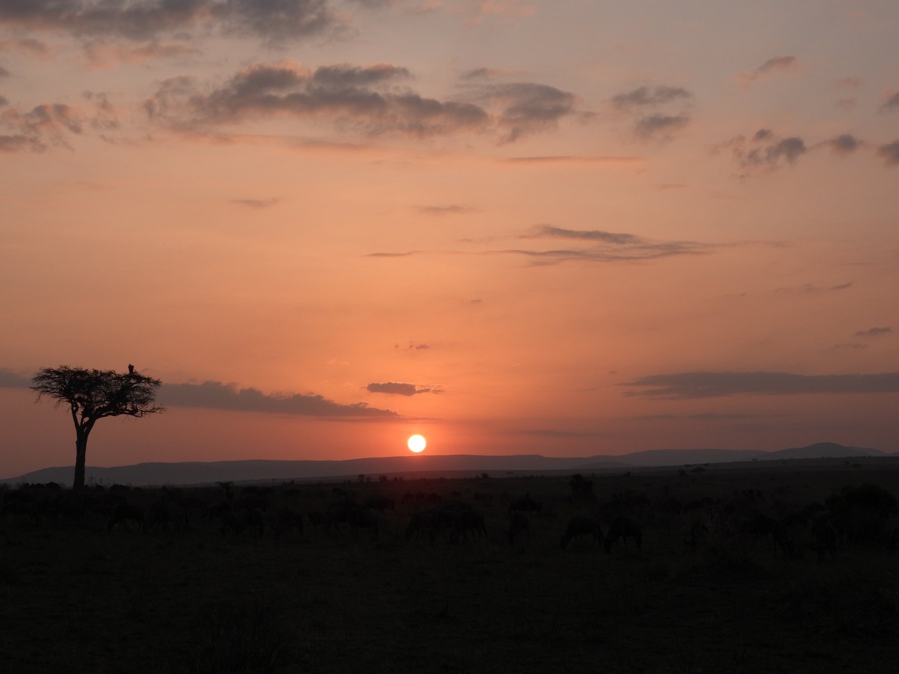 Kwaheri, Kenya