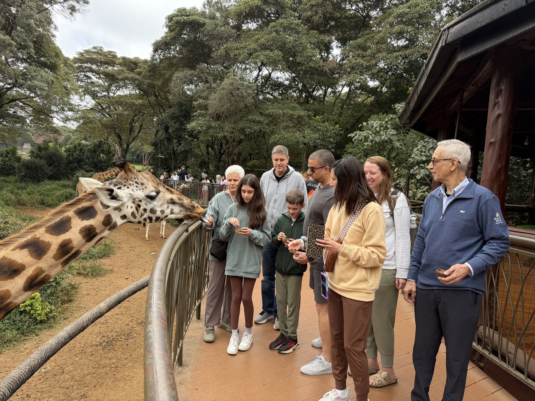 The whole family, Giraffe Centre