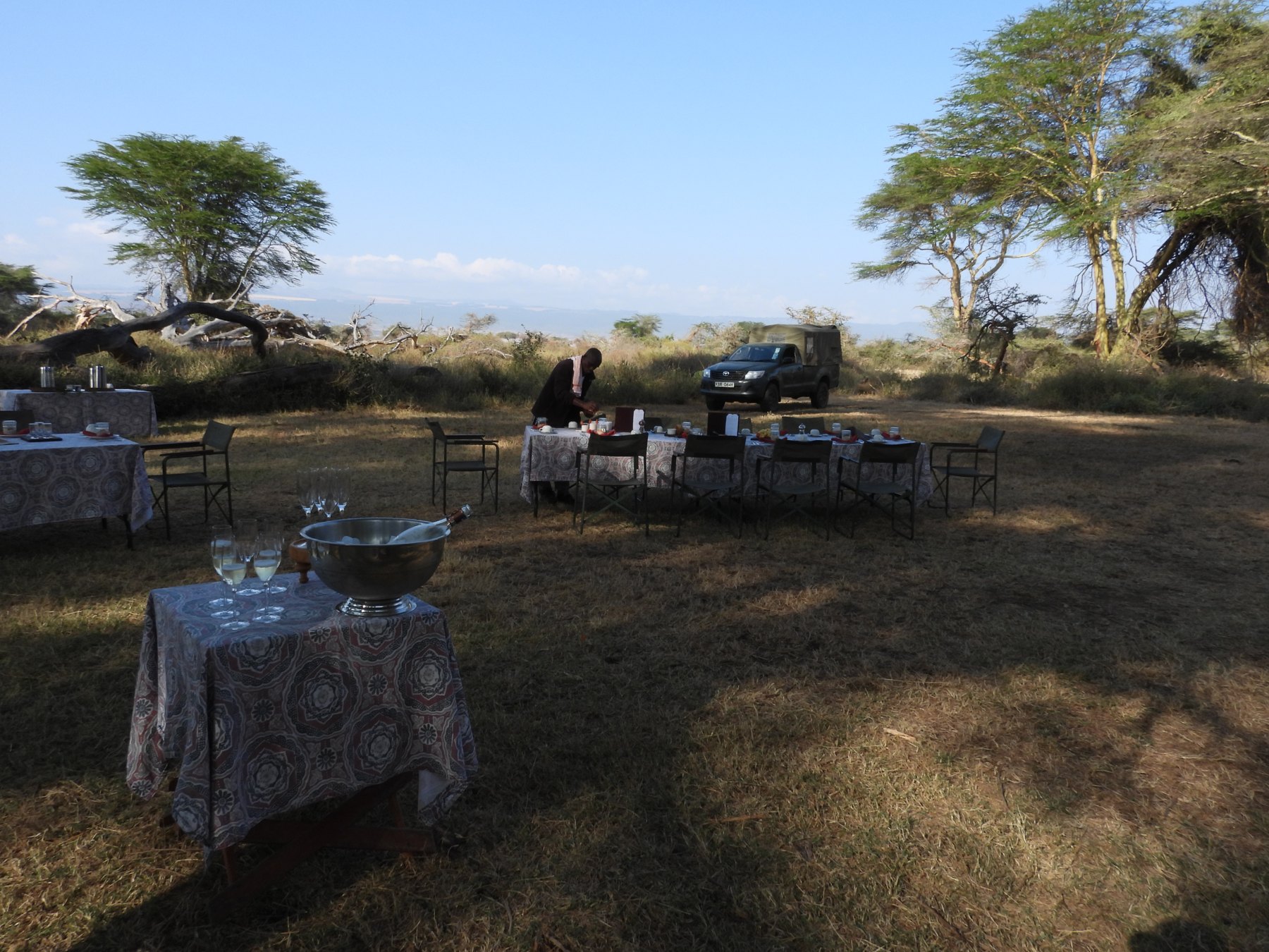 Bush breakfast