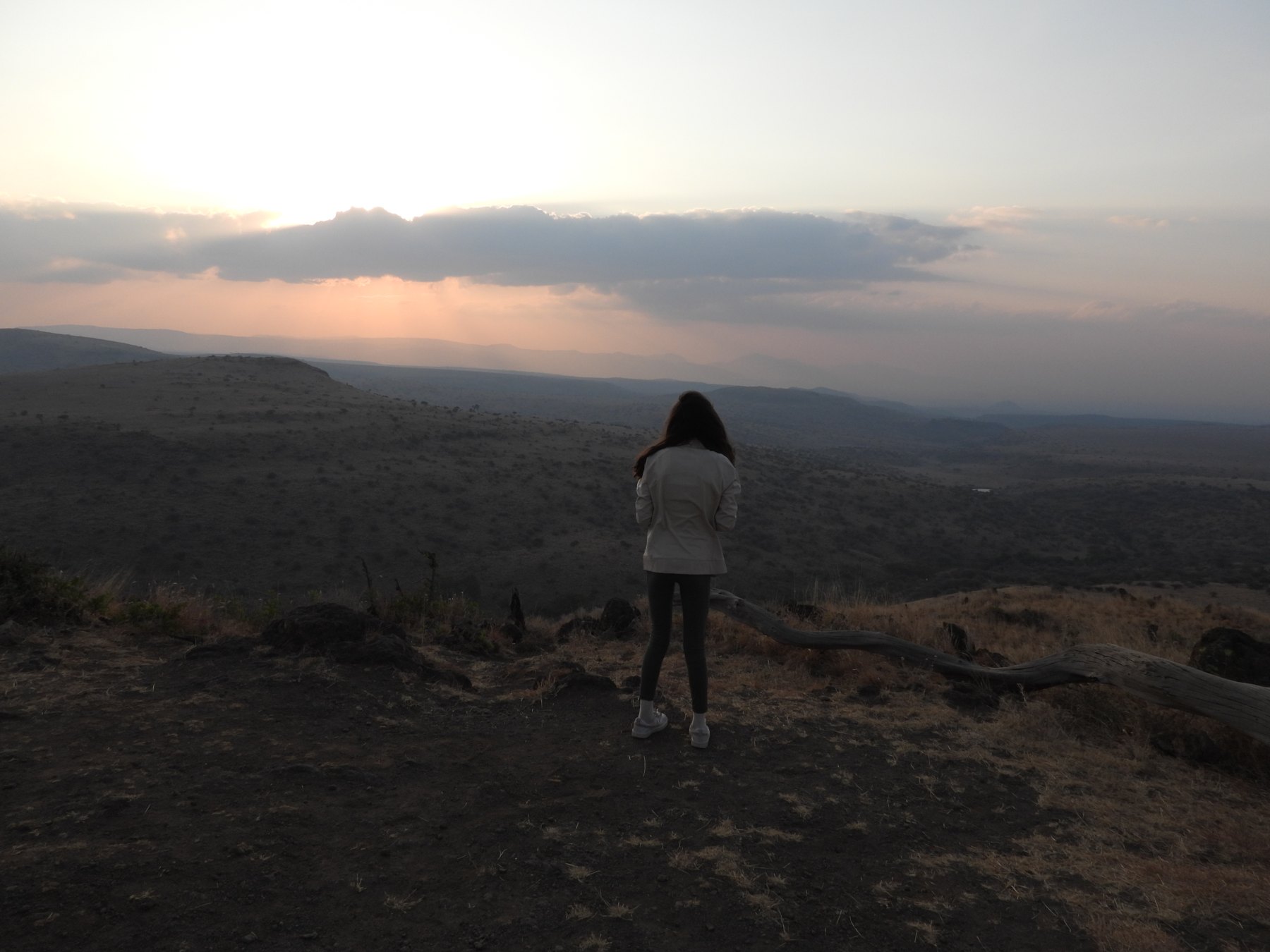Taking it in