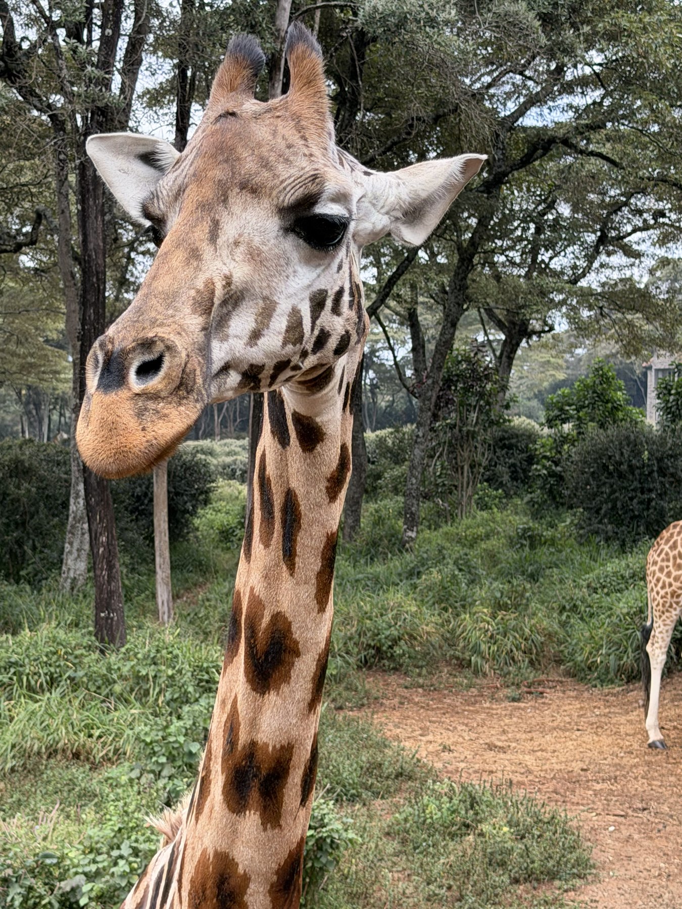 Face to face