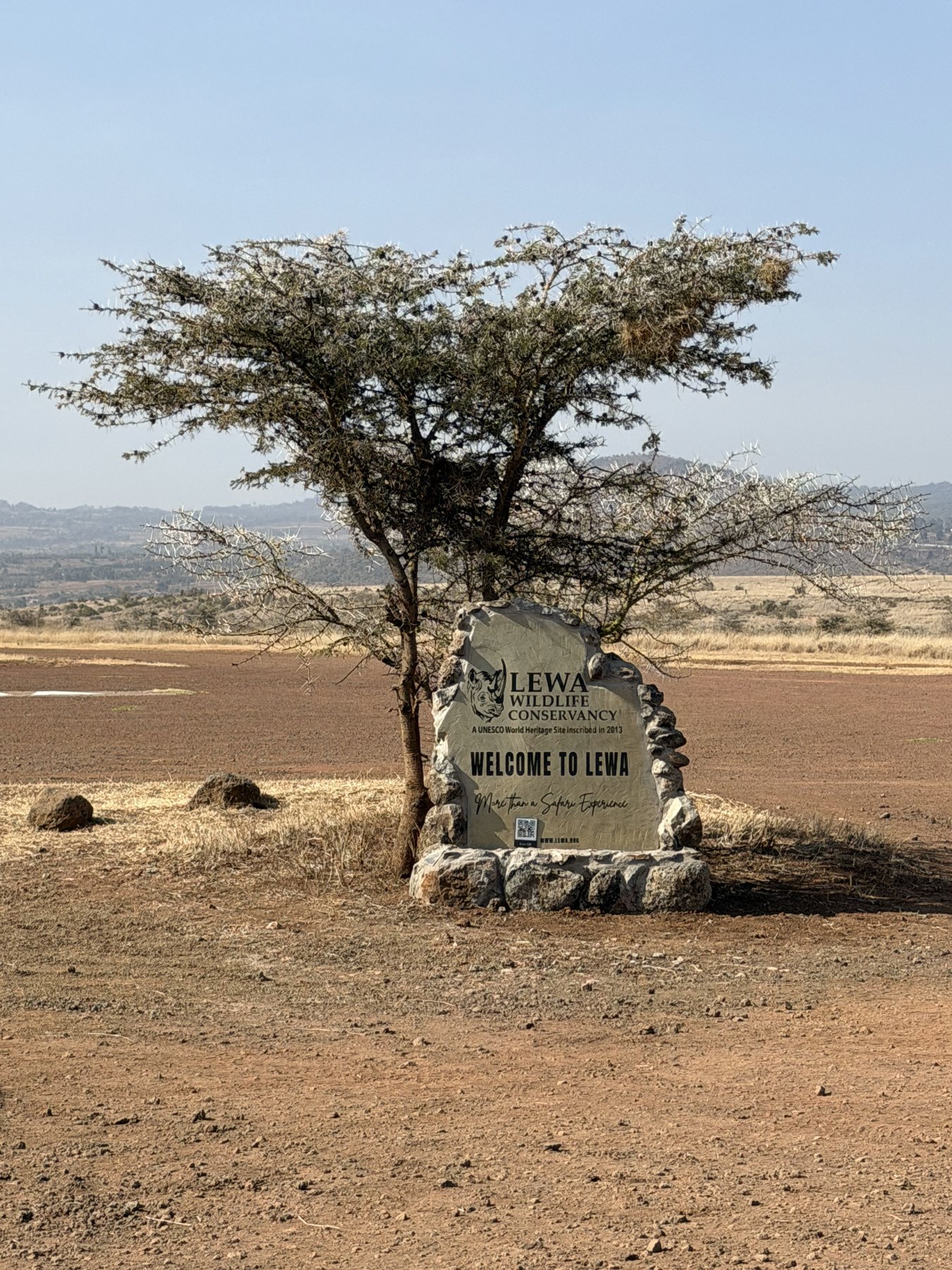 Arriving at Lewa