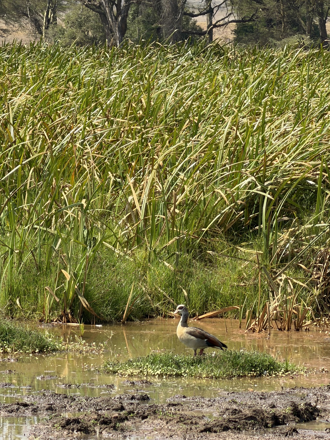 At the water's edge