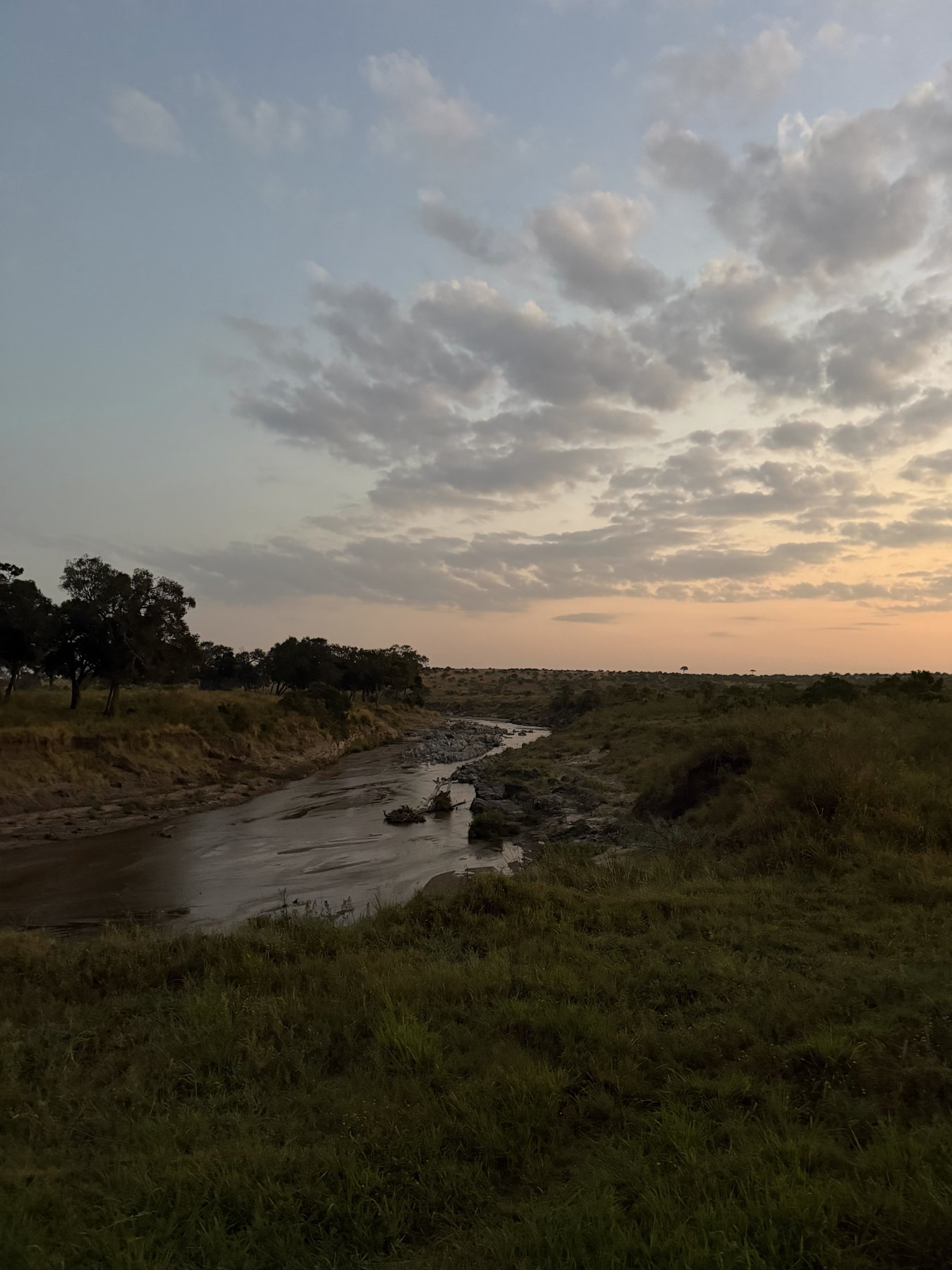 First light on the river