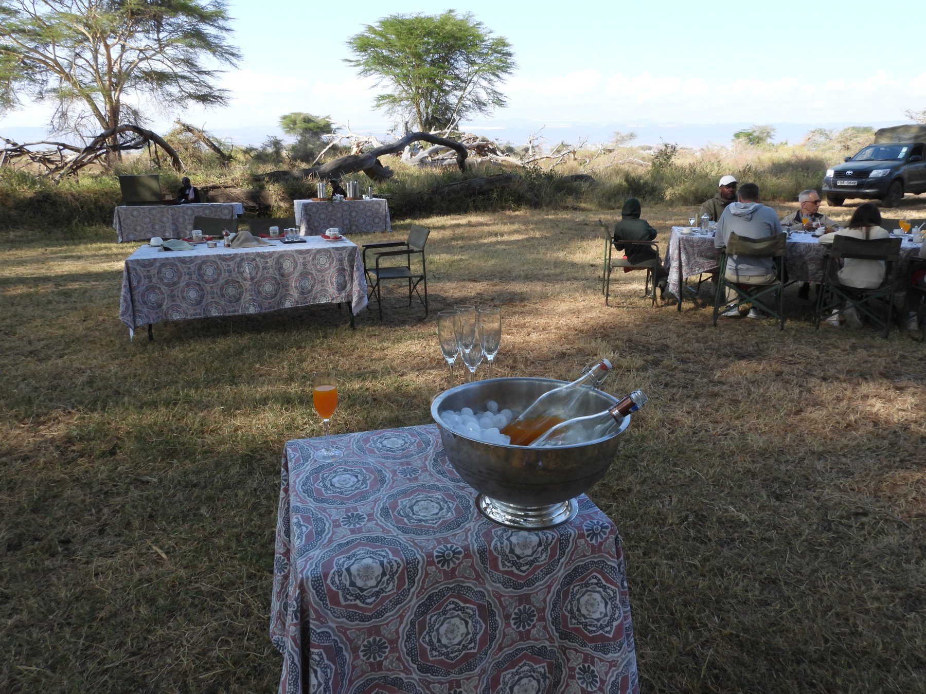 Breakfast in the bush