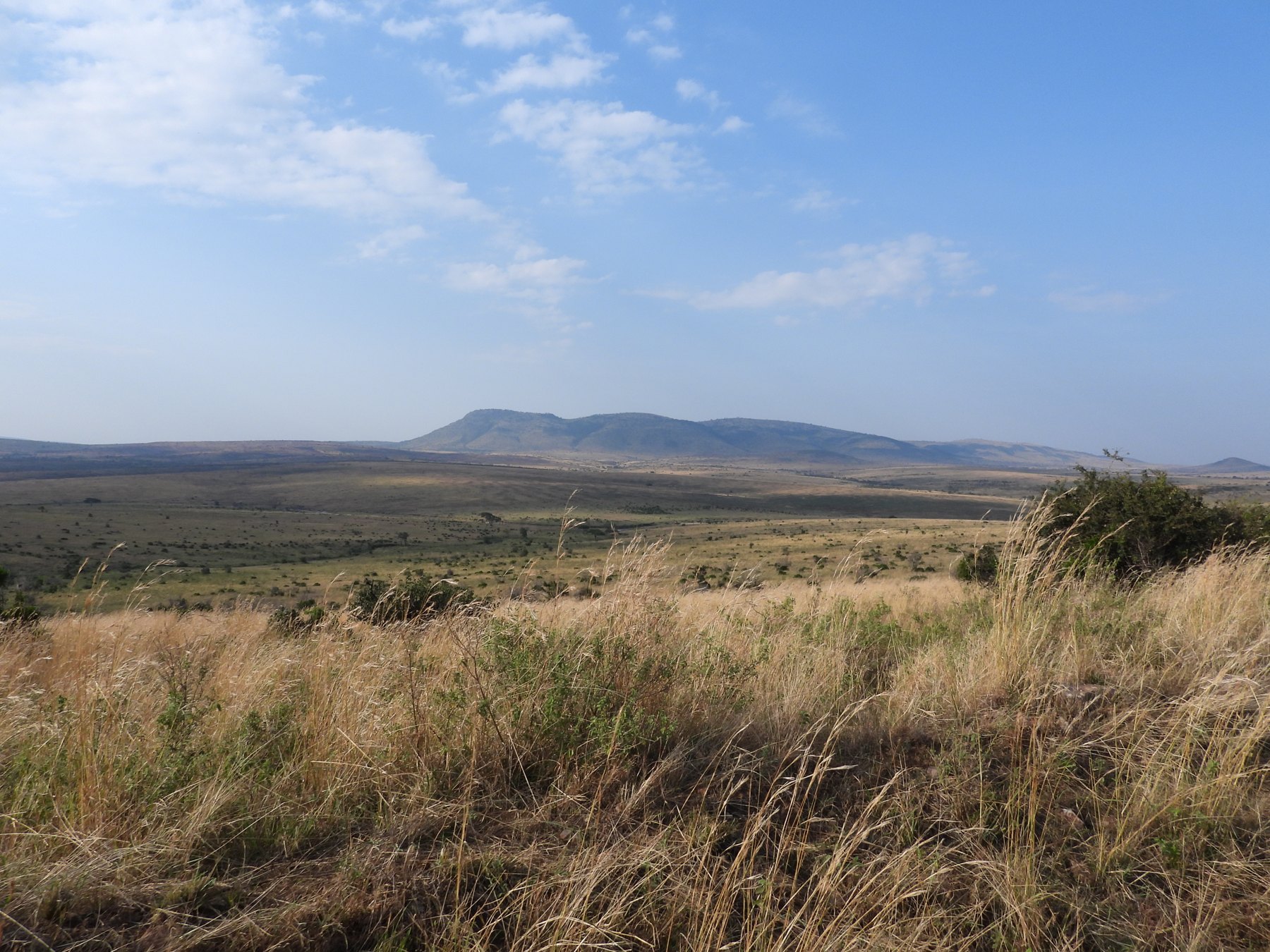 The Mara