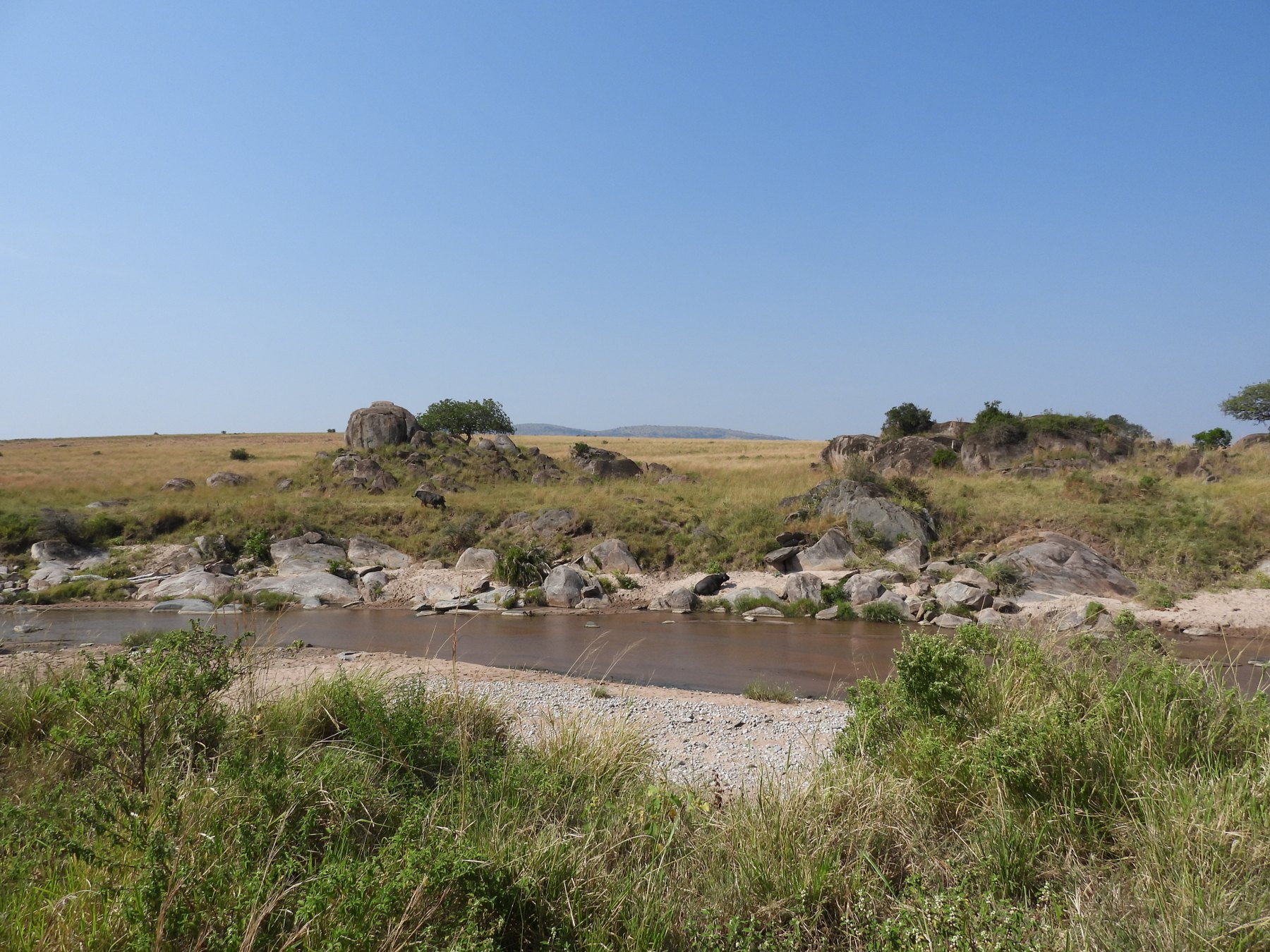 Waterhole