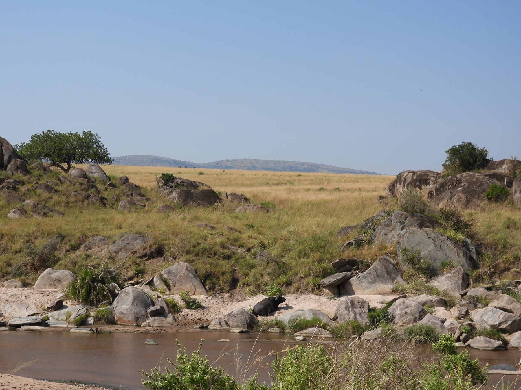 Rocky outcrop
