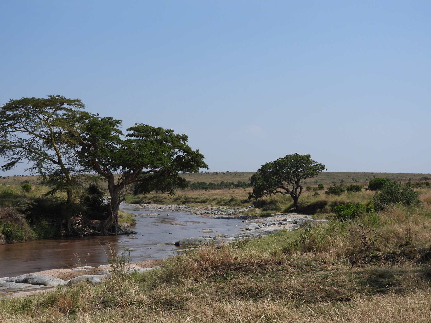 The river bend