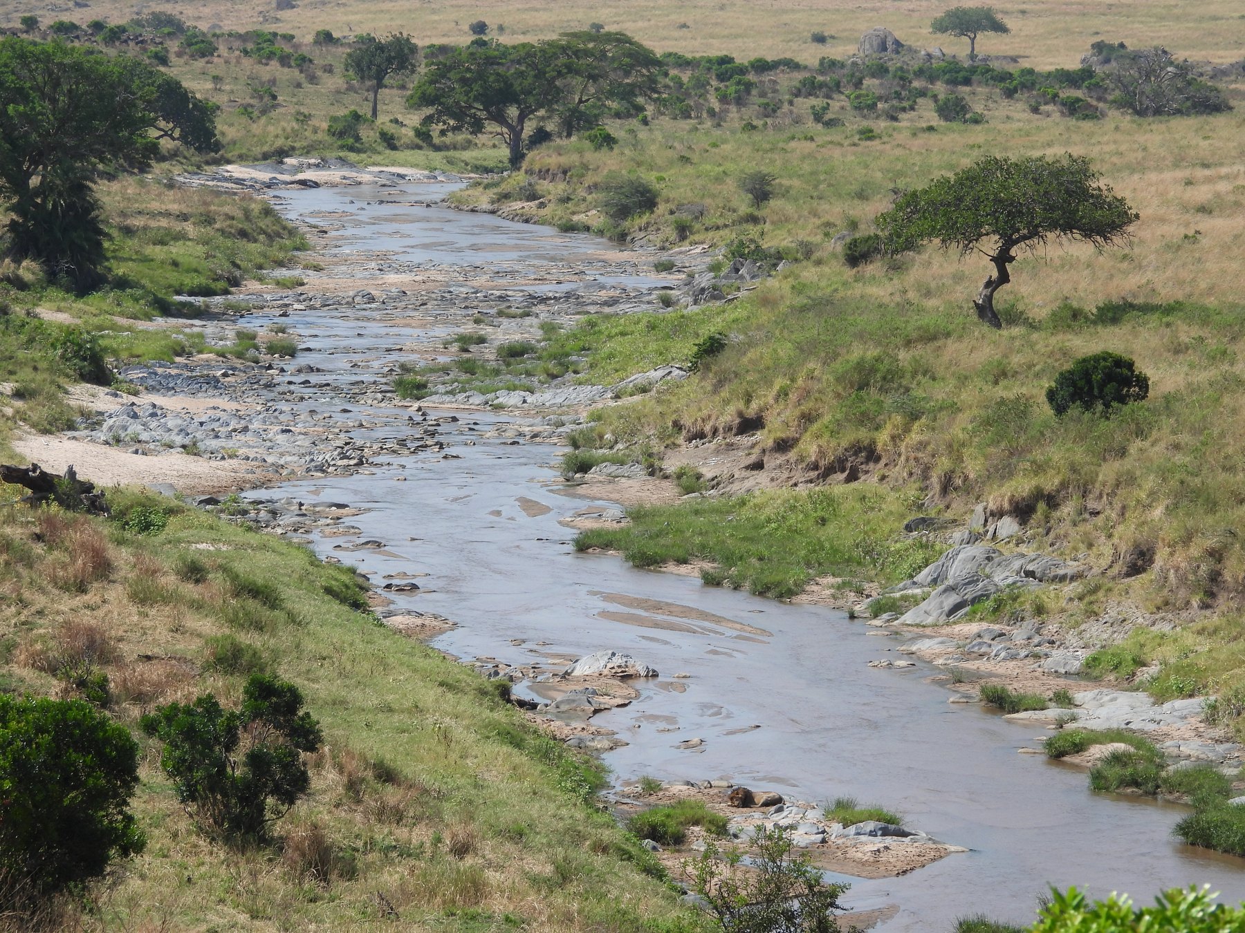 The river